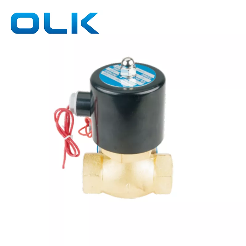 2L buxar solenoid valve 2 yol